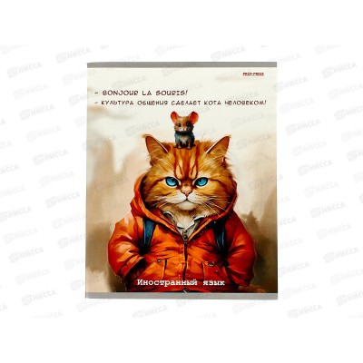Тетрадь 48л кл. ПП &quotЖил был кот&quot Иностранный язык, Т48-2316 *10/80