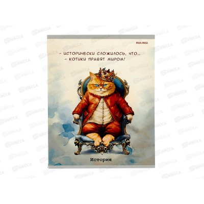 Тетрадь 48л кл. ПП &quotЖил был кот&quot История, Т48-1448 *10/80