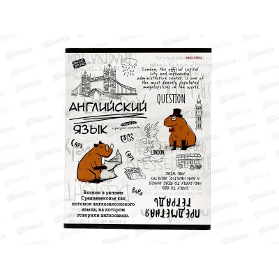 Тетрадь 48л кл. ПП &quotКапибара&quot Английский язык, 48-0032 *10/80