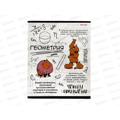 Тетрадь 48л кл. ПП &quotКапибара&quot Геометрия, 48-0035 *10/80