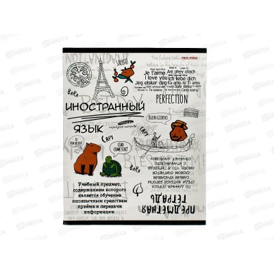 Тетрадь 48л кл. ПП "Капибара" Иностранный язык, 48-0036 *10/80 Тетрадь 48л кл. ПП "Капибара" Иностранный язык, 48-0036 *10/80