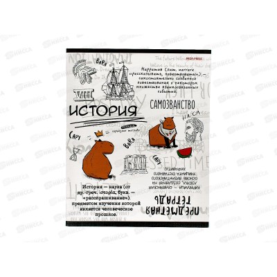 Тетрадь 48л кл. ПП &quotКапибара&quot История, 48-0038 *10/80