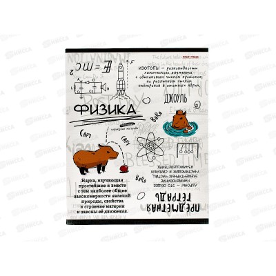 Тетрадь 48л кл. ПП &quotКапибара&quot Физика, 48-0001 *10/80