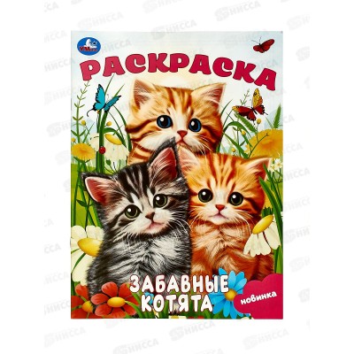 Раскраска "УМКА" 09245-2, Забавные котята. 214х290мм, 16стр.*50 Раскраска "УМКА" 09245-2, Забавные котята. 214х290мм, 16стр.*50