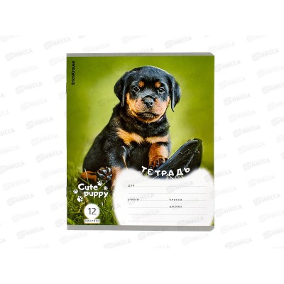 Тетрадь 12листов линия. ПОЛИ Щенки,59974 *10/280 Тетрадь 12листов линия. ПОЛИ Щенки,59974 *10/280