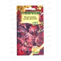Колеус Блэк Драгон 4шт Элитная клумба *10 ГШ +