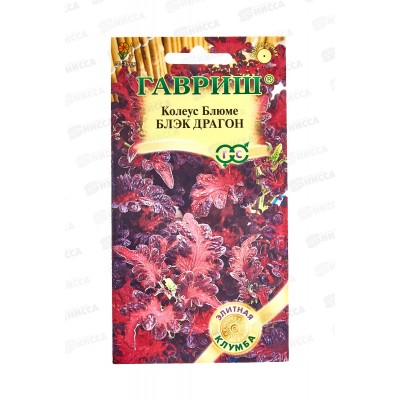 Колеус Блэк Драгон 4шт Элитная клумба *10 ГШ