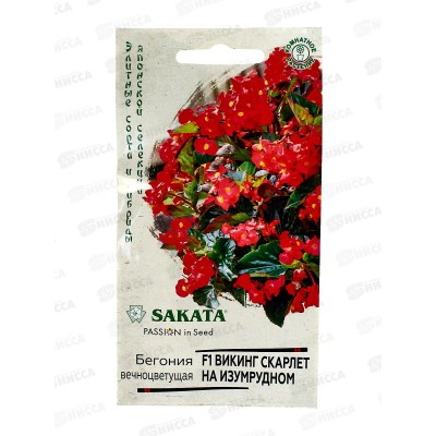 Бегония Викинг Скарлет на изумрудном F1 гранул 4шт пробир *5 ГШ + Бегония Викинг Скарлет на изумрудном F1 гранул 4шт пробир *5 ГШ +