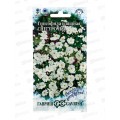 Гипсофила изящная Снегурочка 0,1г *10 ГШ + Гипсофила изящная Снегурочка 0,1г *10 ГШ +