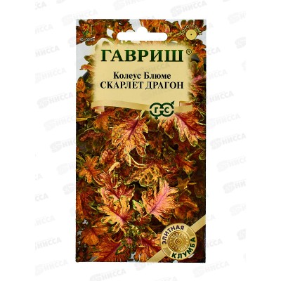 Колеус Скарлет Драгон 4шт Элитная клумба *10 ГШ +