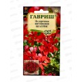 Пеларгония Беатрис ампельная 3шт Н22 *10 ГШ + Пеларгония Беатрис ампельная 3шт Н22 *10 ГШ +