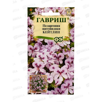 Пеларгония Кейтлин ампельная 3шт Н22 *10 ГШ + Пеларгония Кейтлин ампельная 3шт Н22 *10 ГШ +