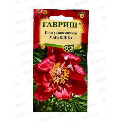 Пион уклоняющийся Марьюшка 3шт Н22 *10 ГШ + Пион уклоняющийся Марьюшка 3шт Н22 *10 ГШ +