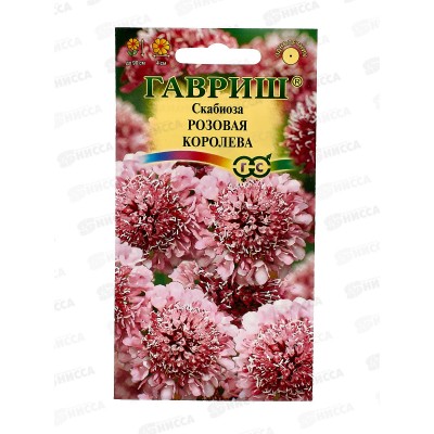 Скабиоза темнопурпурная Розовая королева махр. смесь 6шт *10 ГШ + Скабиоза темнопурпурная Розовая королева махр. смесь 6шт *10 ГШ +
