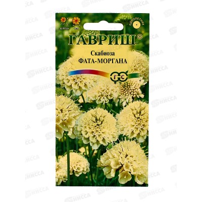 Скабиоза темнопурпурная Фата-моргана махр 6шт *10 ГШ + Скабиоза темнопурпурная Фата-моргана махр 6шт *10 ГШ +