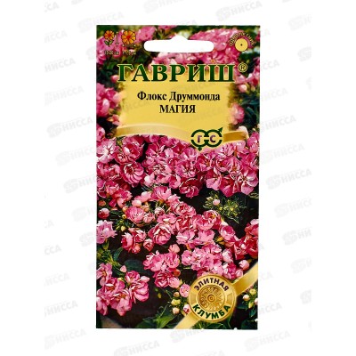 Флокс Магия Друммонда 8шт *10 ГШ + Флокс Магия Друммонда 8шт *10 ГШ +