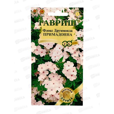 Флокс Примадонна Друммонда 8шт *10 ГШ + Флокс Примадонна Друммонда 8шт *10 ГШ +