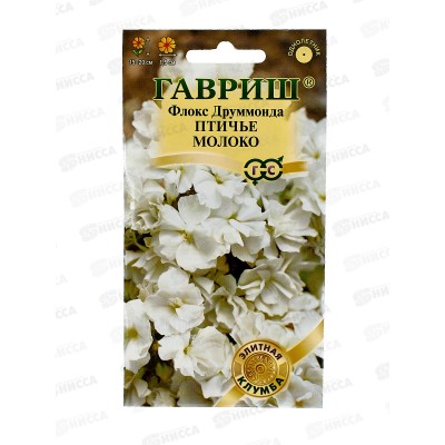 Флокс Птичье молоко Друммонда 8шт *10 ГШ + Флокс Птичье молоко Друммонда 8шт *10 ГШ +