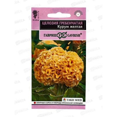 Целозия Курум желтая гребенчатая 8шт *10 ГШ + Целозия Курум желтая гребенчатая 8шт *10 ГШ +