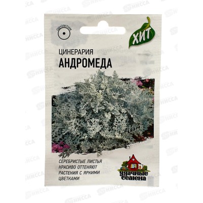 Цинерария Андромеда приморская 0,05г ХИТ хЗ  *10 ГШ + Цинерария Андромеда приморская 0,05г ХИТ хЗ  *10 ГШ +