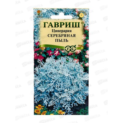 Цинерария Серебряная пыль приморская 0,05г *10 ГШ + Цинерария Серебряная пыль приморская 0,05г *10 ГШ +