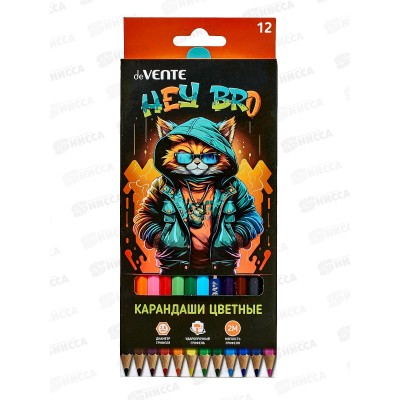 Карандаши 12цв deVente Hey Bro, шестигр. к/у  5022418 *12/240