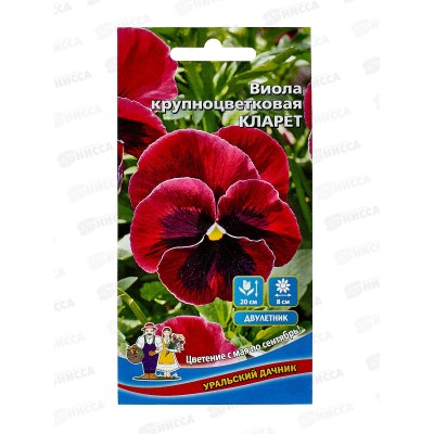 Виола Кларет Евро крупноцветковая *10 УрД +