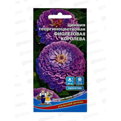 Цинния Фиолетовая королева Евро георгиноцветковая *10 УрД +