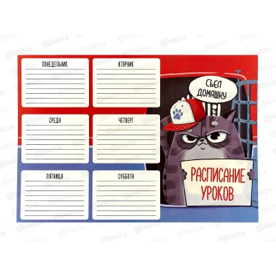 Расписание уроков А4 ФЕН Опасный преступник,60349*100