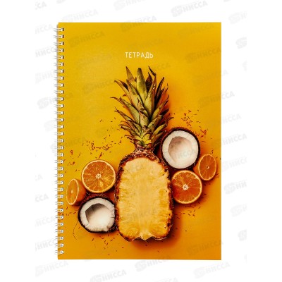 Тетрадь 60листов клетка ЭКСМ А4 Свежий микс, мел. греб. ТС4605032 *6/30