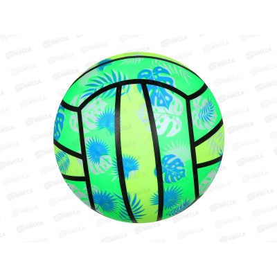 Мяч детский Пальмовая ветвь 22см SILAPRO 134-196 г