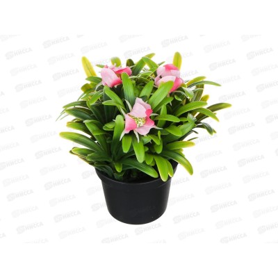 Композиция в горшке Зелень с цветами 14см 501-569 г Композиция в горшке Зелень с цветами 14см 501-569 г