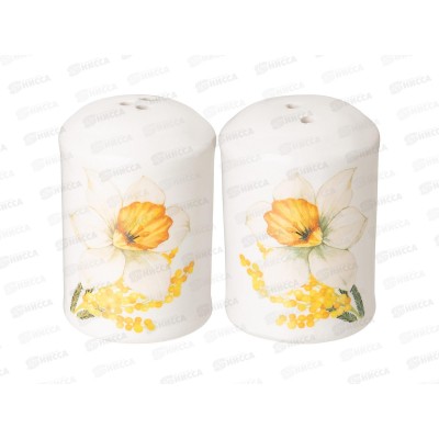 Набор для специй Agness Sunday 2пр 358-2194 *60 Набор для специй Agness Sunday 2пр 358-2194 *60