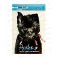 Альбом для рисования 40л Hatber Глазки,ушки,носик,079780 *7/32 Альбом для рисования 40л Hatber Глазки,ушки,носик,079780 *7/32