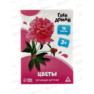Карточки развивающие &quotЦветы&quot 8 карт 9570017