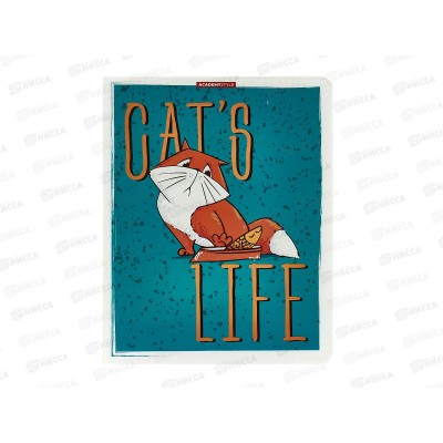 Тетрадь 48листов клетка. АКАД Кошачья жизнь пластик. обл EAC-14157/4 *20/60 Тетрадь 48листов клетка. АКАД Кошачья жизнь пластик. обл EAC-14157/4 *20/60