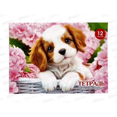 Альбом для рисования 12л ПГС Дом,питомцы, А4, скрепка *20 Альбом для рисования 12л ПГС Дом,питомцы, А4, скрепка *20