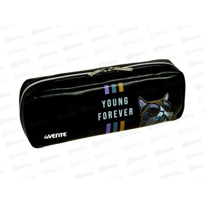 Пенал deVente 21*9*5см, Young Forever 3отд. молния, т-серый, 7029411 Пенал deVente 21*9*5см, Young Forever 3отд. молния, т-серый, 7029411