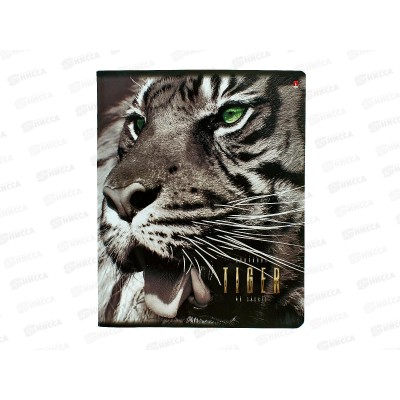 Тетрадь 48листов клетка АЛЬТ "Большие кошки" 5видов 7-48-366*10/60 Тетрадь 48листов клетка АЛЬТ "Большие кошки" 5видов 7-48-366*10/60