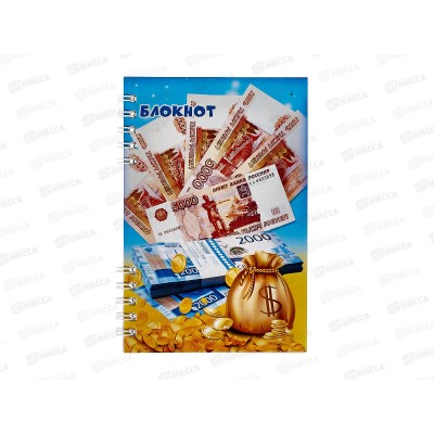 Блокнот 80листов ПГС Деньги, 100*150, глиттер, гребень *12 Блокнот 80листов ПГС Деньги, 100*150, глиттер, гребень *12