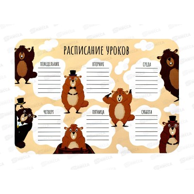 Покрытие на стол д/лепки А4 ПЧЕЛКА Расписание уроков 2024, НПД-1 *50 Покрытие на стол д/лепки А4 ПЧЕЛКА Расписание уроков 2024, НПД-1 *50