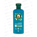 HERBAL Essences шампунь 250мл Аргановое масло  *6 HERBAL Essences шампунь 250мл Аргановое масло  *6