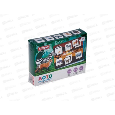 Лото &quotКто где живёт. Континенты&quot 00922  *16