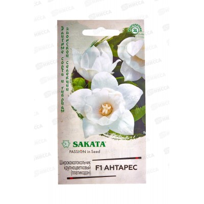 Ширококолокольчик Антарес крупн F1 4шт Н21 *10 ГШ +