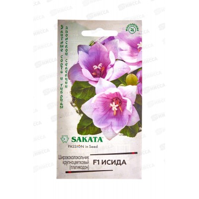 Ширококолокольчик Исида крупн F1 4шт Н21 *10 ГШ + Ширококолокольчик Исида крупн F1 4шт Н21 *10 ГШ +