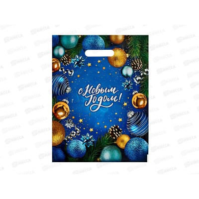 Пакет пробивной НГ 31*40 Сокровищница *50/500