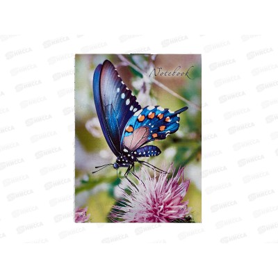 Блокнот 24л ПГС Бабочки, 110*80 *24