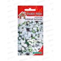 Агератум Снежные барханы УУ Евро *10 УрД + Агератум Снежные барханы УУ Евро *10 УрД +