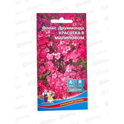 Флокс друммонда Красотка в малиновом Евро *10 УрД Флокс друммонда Красотка в малиновом Евро *10 УрД