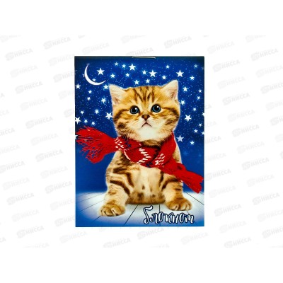 Блокнот 16л ПГС Котята, А7 *24